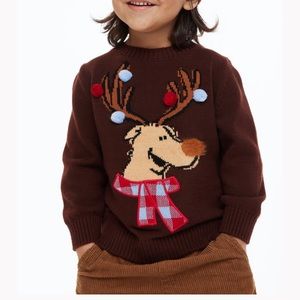 H&M Kids Sweater. Brand new condition. Size 3/4T.